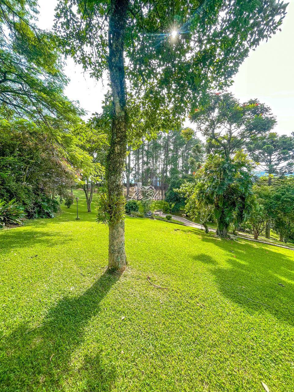 Casa, 5 quartos - Foto 4